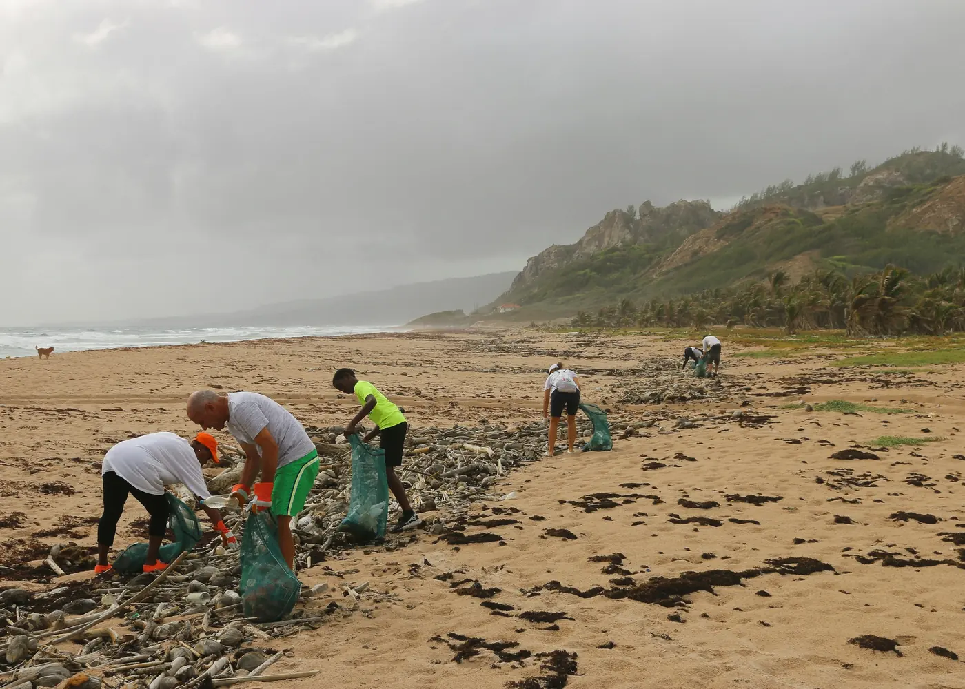 Volunteers clearing a beach