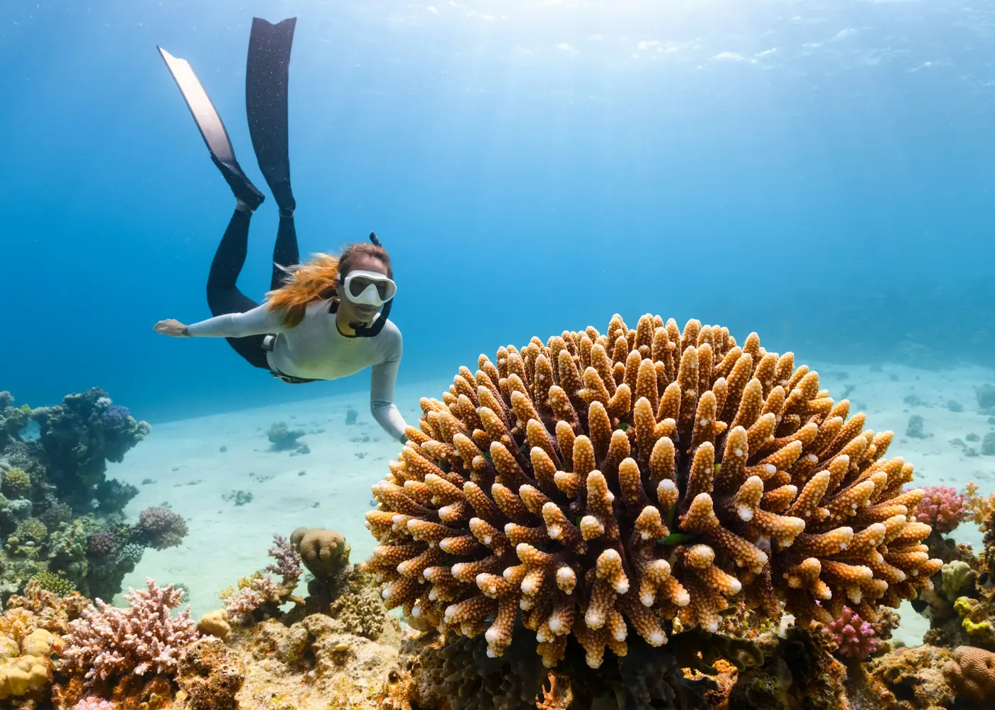 A diver swimming above a coral head